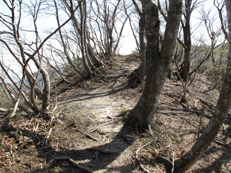 20140502hike (289)